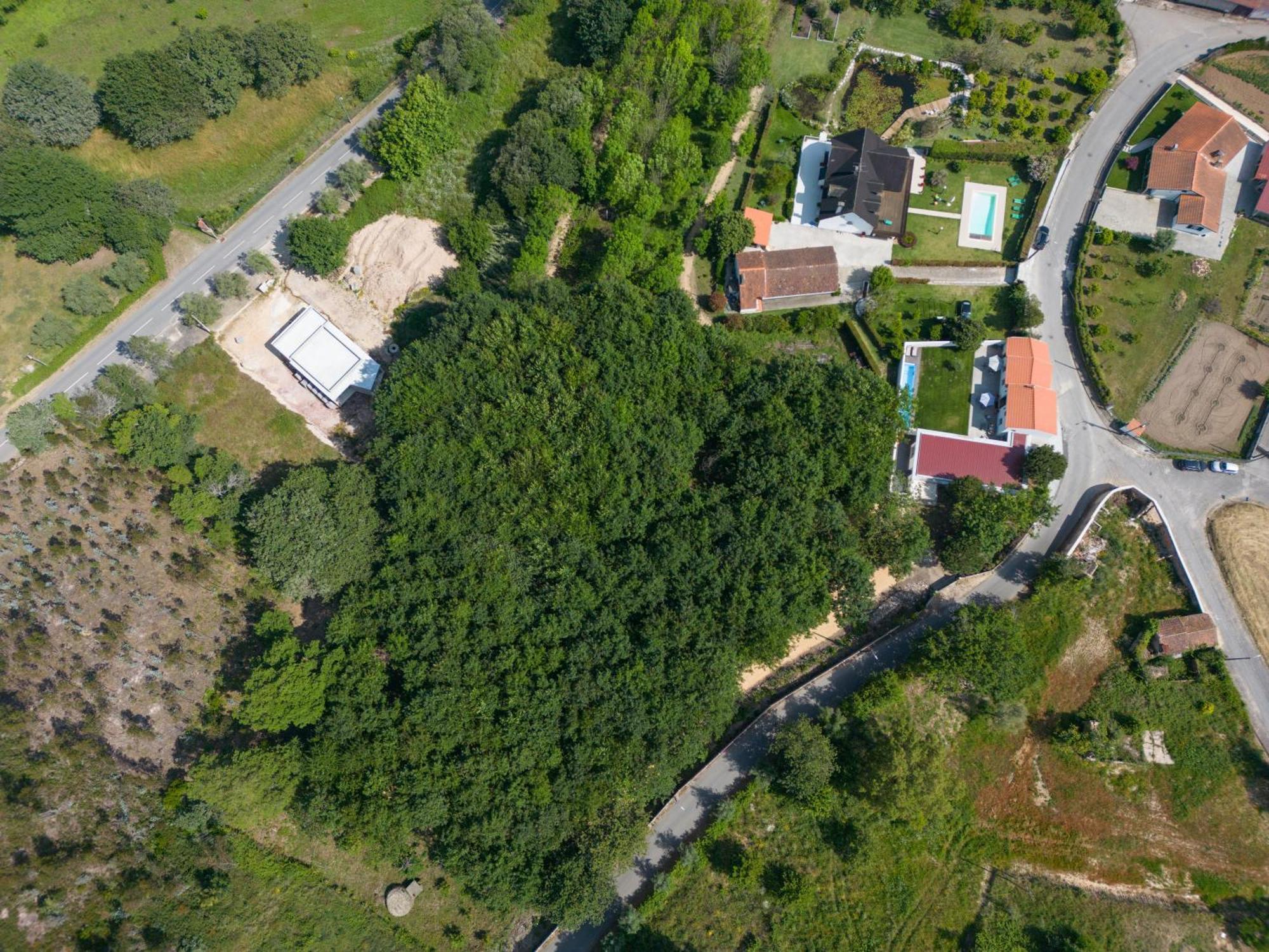 Casa Do Carvalhal - Quinta Do Soldado Villa Alquerubim Exteriör bild